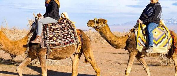 عکس شتر سواری در کیش