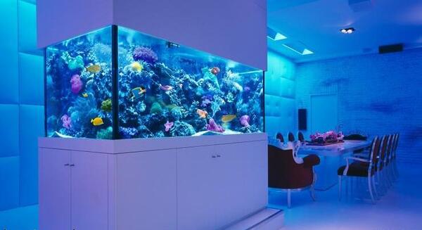 عکس ایده برای سقف اکواریوم