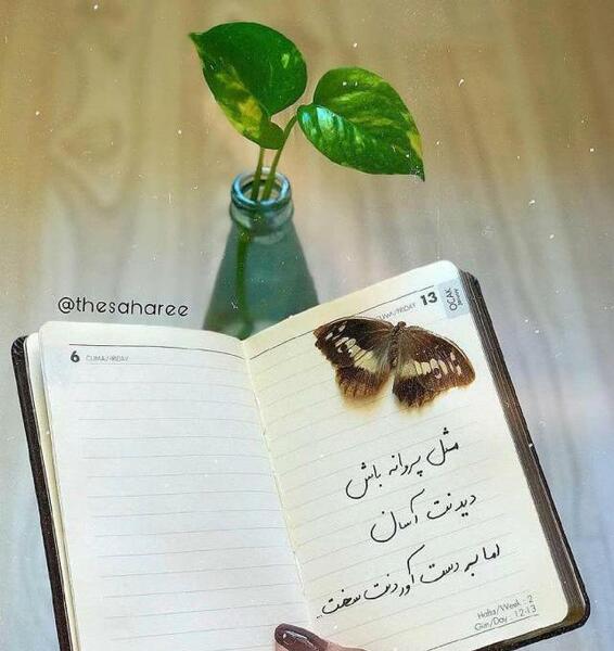 عکس نوشته پروانه دار