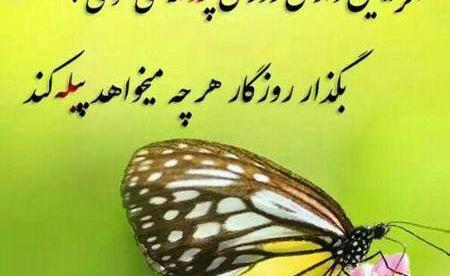 عکس نوشته پروانه دار