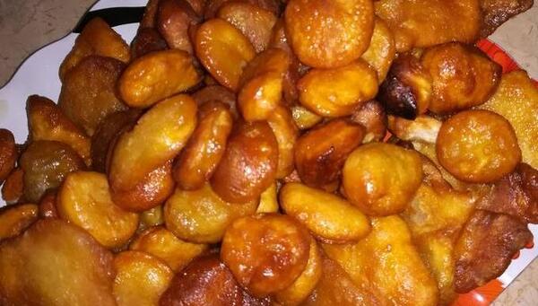 عکس گوش فیل خانگی