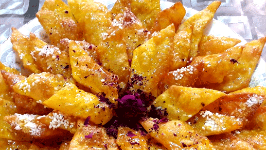 عکس گوش فیل خانگی