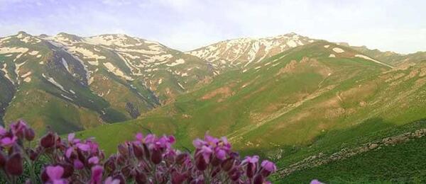 عکس روستای زلیخا