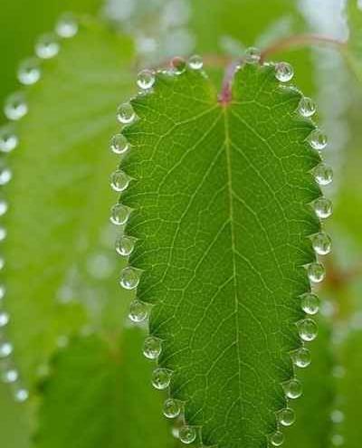 عکس های جالب از طبیعت