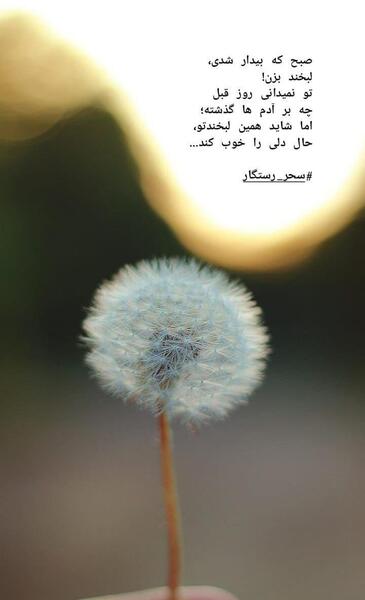 عکس استوری لبخند