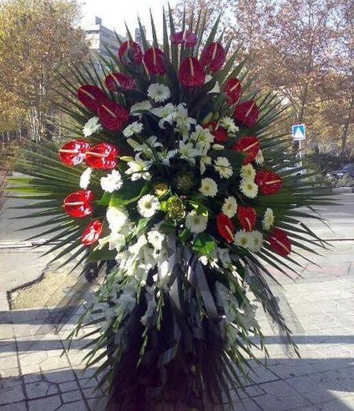 عکس گل فاتحه