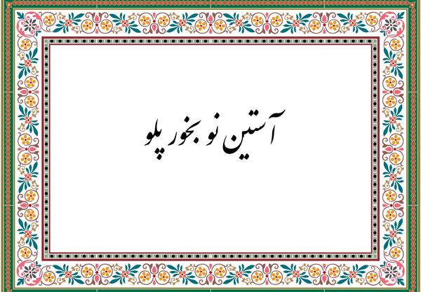 عکس ضرب المثل آستین نو بخور پلو