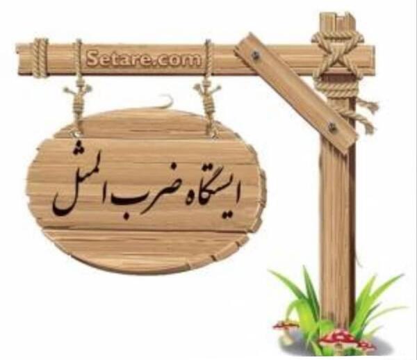 عکس ضرب المثل آستین نو بخور پلو