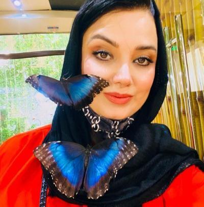 عکس پروانه غول پیکر