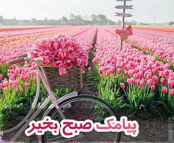عکس نوشته صبح بخیر حسینی