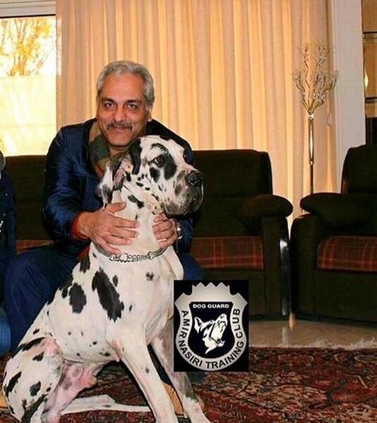 عکس حیوانات مهران مدیری