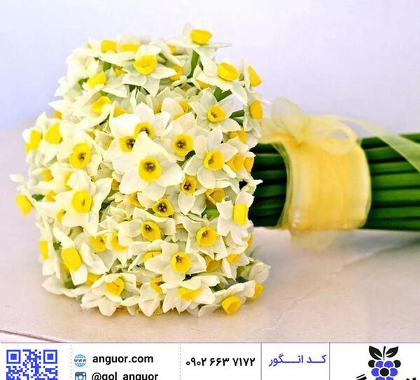 عکس دسته گل عروس با گل نرگس