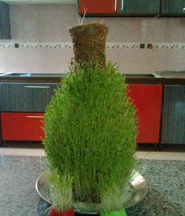 عکس از سبزه عید