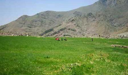 عکس از طبیعت لواسان