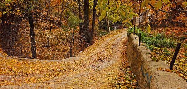 عکس از طبیعت لواسان