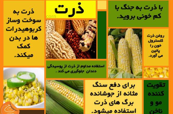 عکس کاکل ذرت