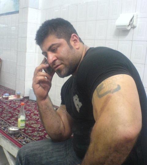 عکس گاوزن