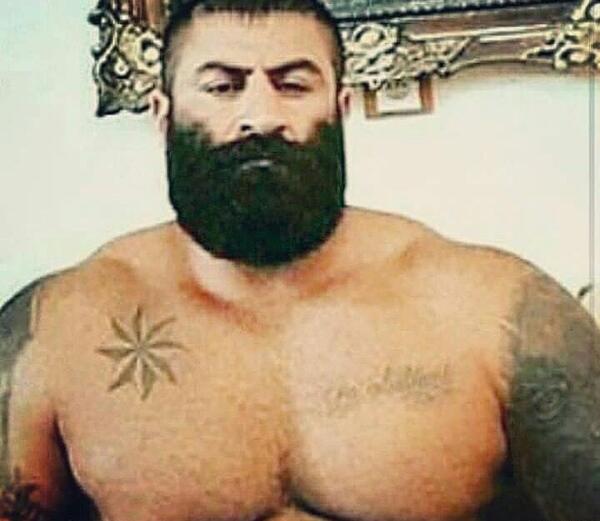 عکس گاوزن