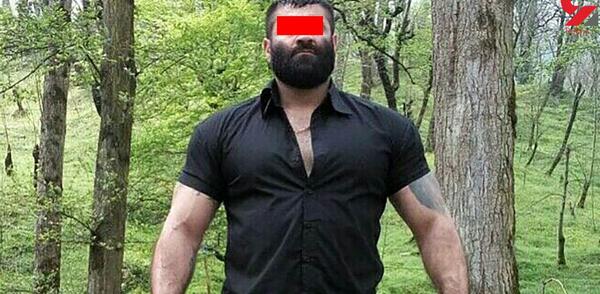 عکس گاوزن