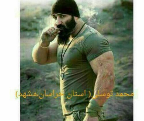 عکس گاوزن