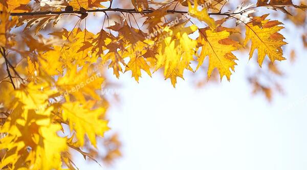 عکس آسمان زیبای