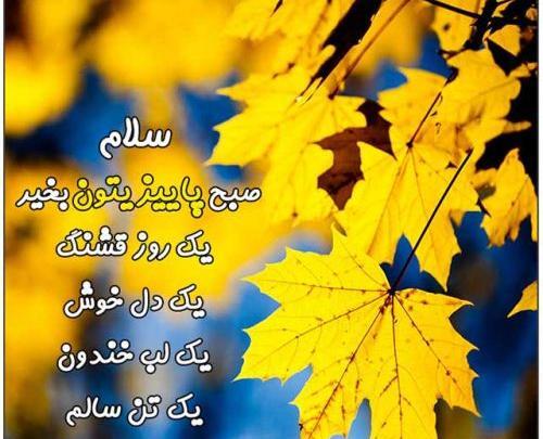 عکس ظهر بخیر پاییزی