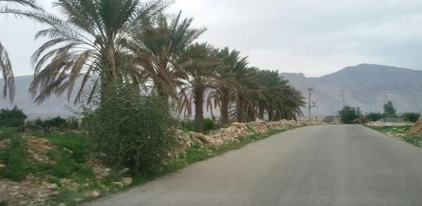 عکس رضوان هرمزگان