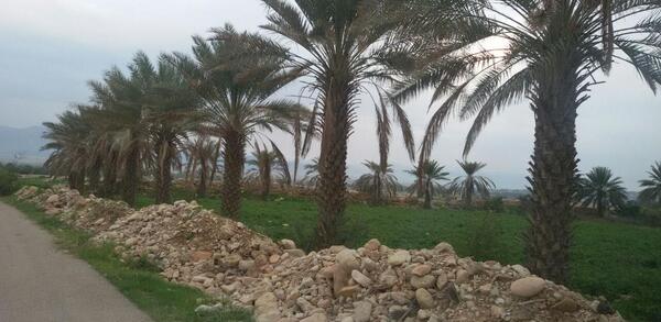 عکس رضوان هرمزگان