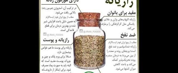 عکس پودر رازیانه
