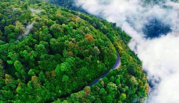 عکس از طبیعت ونکوور