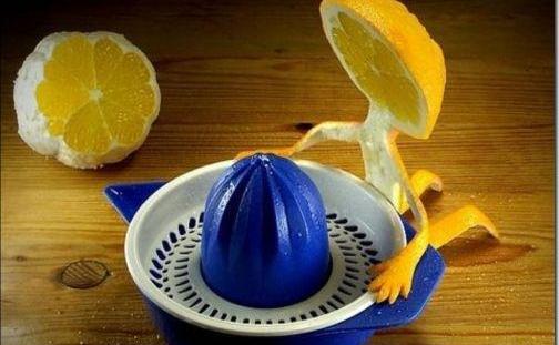 عکس جالب میوه ها