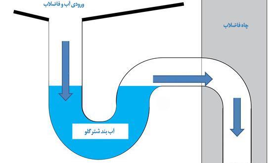 عکس شترگلو توالت