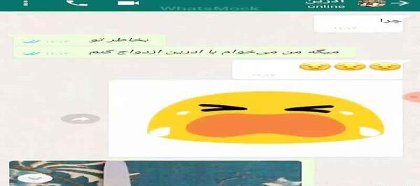 عکس چت مرینت و لوکا