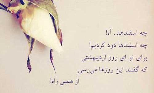 عکس نوشته امین پور