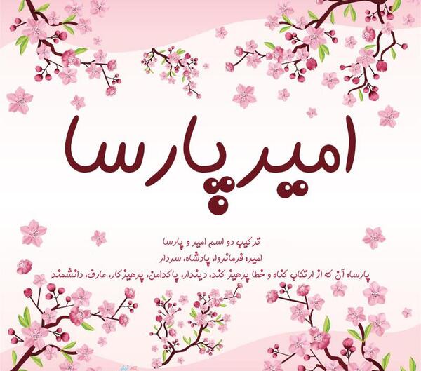 عکس امیر محمد پارسا