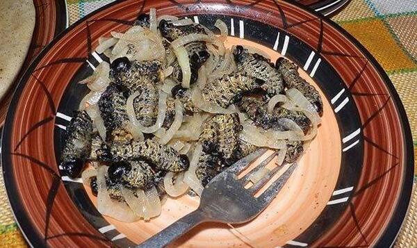 عکس غذا خارجی