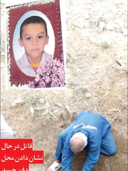 عکس گرگ پیر