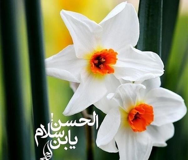 عکس نوشته به طاها به یاسین