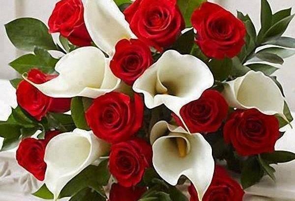 عکس یک دسته گل زیبا