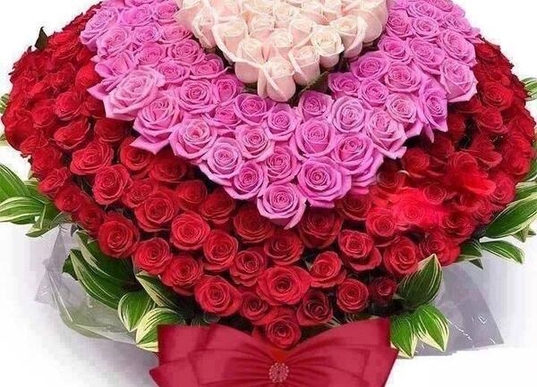 عکس یک دسته گل زیبا