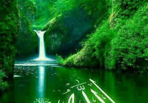 عکس پروفایل خوب طبیعت