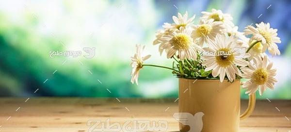 عکس گل و گلدان