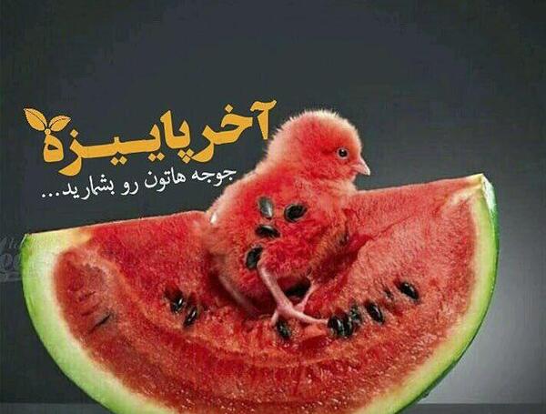 عکس نوشته به صد یلدا الهی زنده باشی