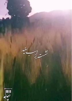 عکس نوشته شهزاده رویای من