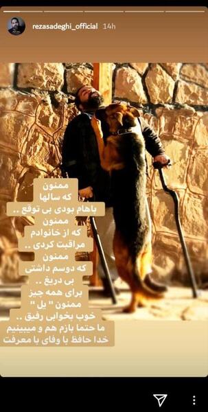 عکس فوت رضا صادقی