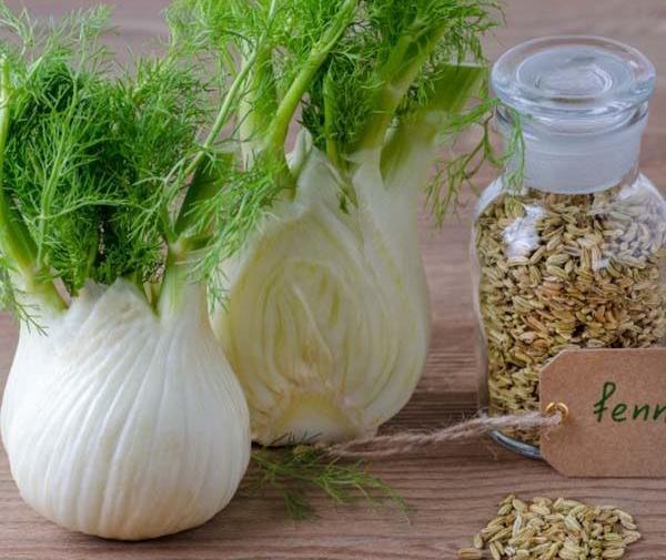 عکس ادویه رازیانه