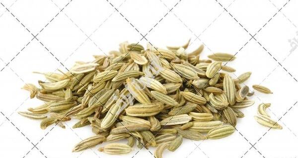 عکس ادویه رازیانه