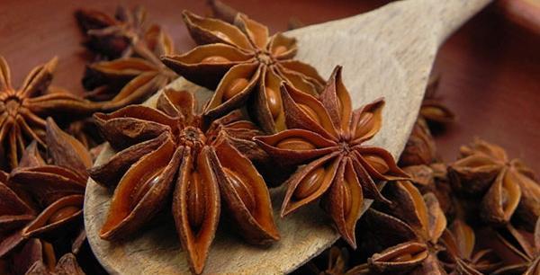 عکس ادویه رازیانه
