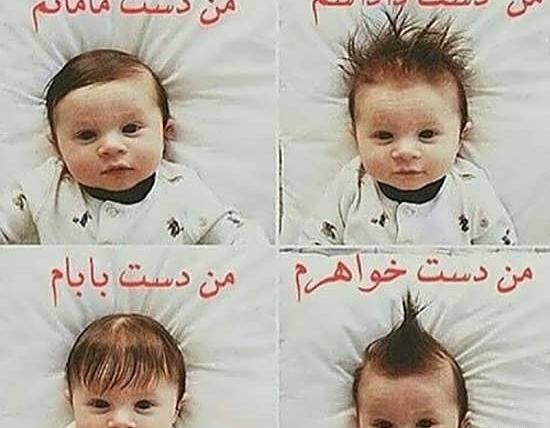 عکس استیکر گریه بامزه