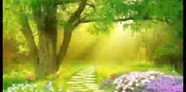 عکس ضرب المثل شتر درخواب بیند پنبه دانه